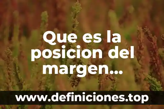 Que es el neocolonialismo interno 3 Que es la posicion del margen interno