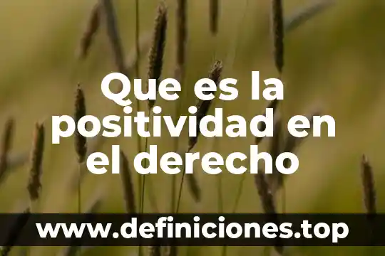 Que es la positividad en el derecho
