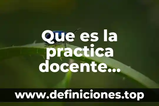 Que es la practica docente ensayo