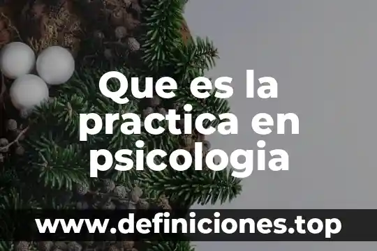Que es la practica en psicologia