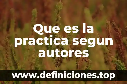 Que es una empresa comercial segun autores 8 Que es la practica segun autores