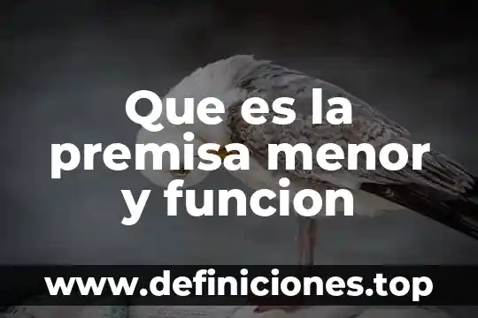 Que es una premisa de trabajo 5 Que es la premisa menor y funcion