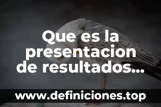Que es una presentacion formal en la tecnologia 6 Que es la presentacion de resultados de un proyecto