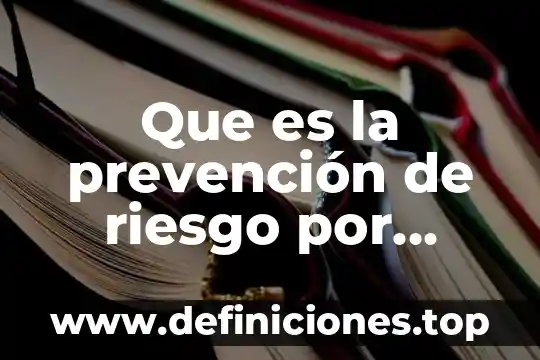 Que es panel de navegacion en informatica 3 Que es la prevención de riesgo por desastre natural