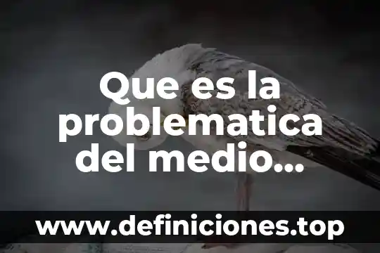Qué es una problemática en la investigación 7 Que es la problematica del medio ambiente
