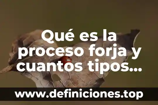 Qué es la proceso forja y cuantos tipos hay