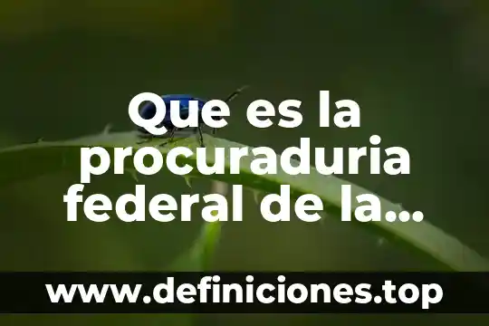 Que es la procuraduria federal de la defensa del trabajo