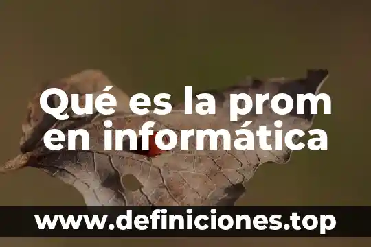 Que es una señal digital en informatica 4 Qué es la prom en informática