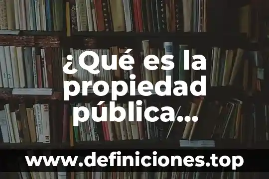 ¿Qué es la propiedad pública privada?