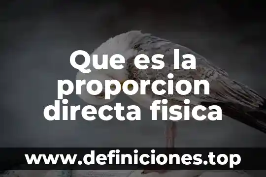 Que es proporcion directa en matematicas y ejemplo resumido 3 Que es la proporcion directa fisica