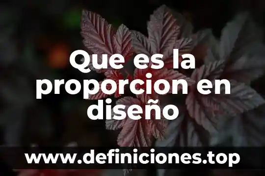 Que es la proporcion en diseño