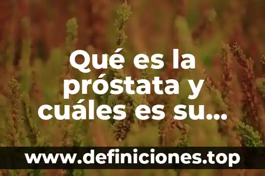 Que es una demografia y cuales son sus consecu 5 Qué es la próstata y cuáles es su función