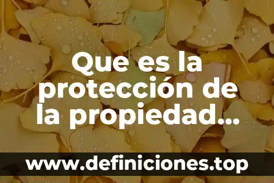 Qué es propiedad industrial según la ley 7 Que es la protección de la propiedad industrial