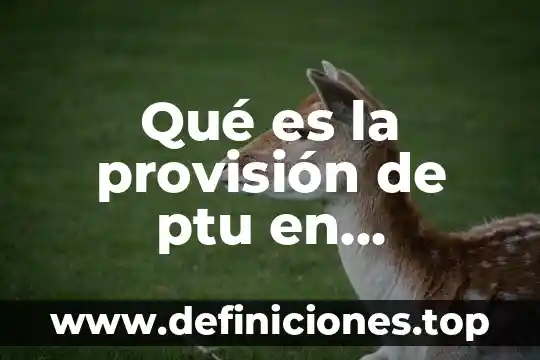 Que es un generalista cgi 6 Qué es la provisión de ptu en contabilidad