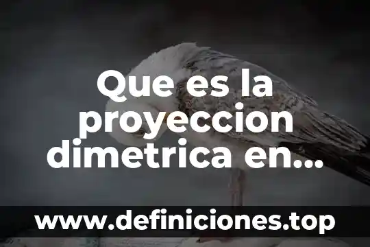 Que es una proyeccion financiera de costos y gastos 3 Que es la proyeccion dimetrica en dibujo tecnico