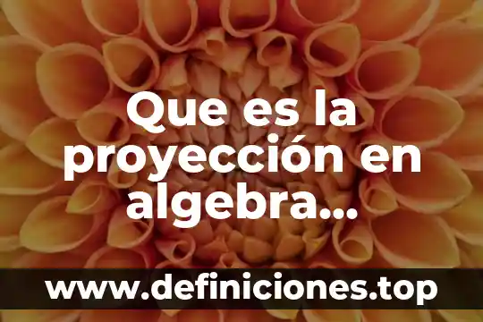 Que es una proyeccion financiera de costos y gastos 5 Que es la proyección en algebra relacional