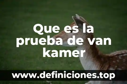 Que es el van y el tir ejemplos 5 Que es la prueba de van kamer