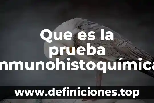 Que es la prueba inmunohistoquímica