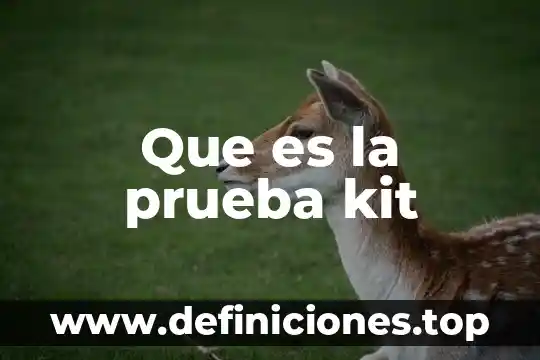 Prueba de revenimiento que es 5 Que es la prueba kit
