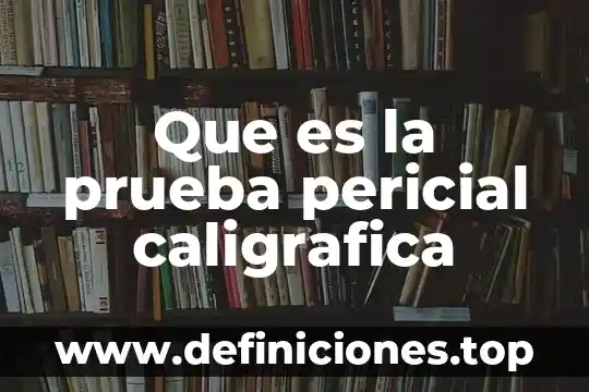 Que es pornografias de hombres 3 Que es la prueba pericial caligrafica