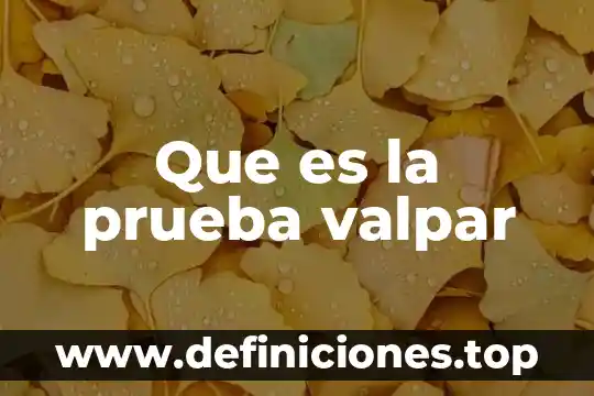 Que es la prueba valpar