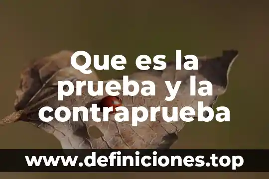 Que es la prueba de huevo de pato 5 Que es la prueba y la contraprueba