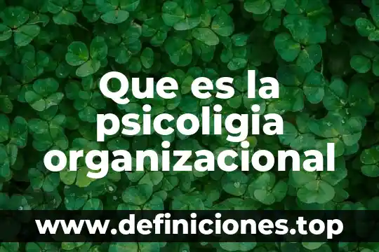 Que es el diseño organizacional tradicional 6 Que es la psicoligia organizacional