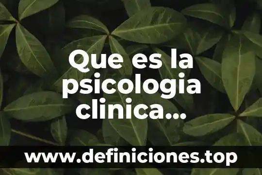 Que es la psicologia clinica psicoanalitica