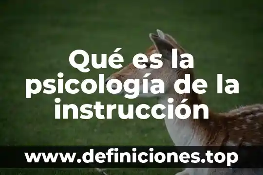 Que es psicología industrial concepto 4 Qué es la psicología de la instrucción