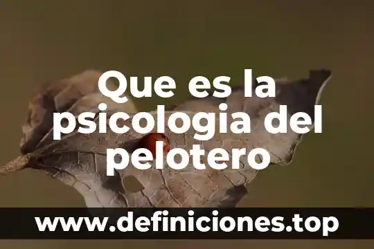 Que es la psicologia del pelotero