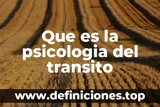 Que es la psicologia del transito