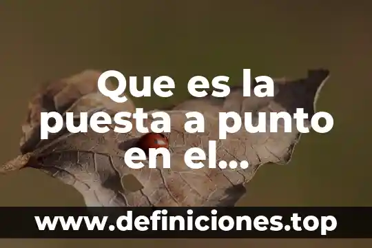 Qué es el puesta punto de la troquel 5 Que es la puesta a punto en el entrenamiento físico