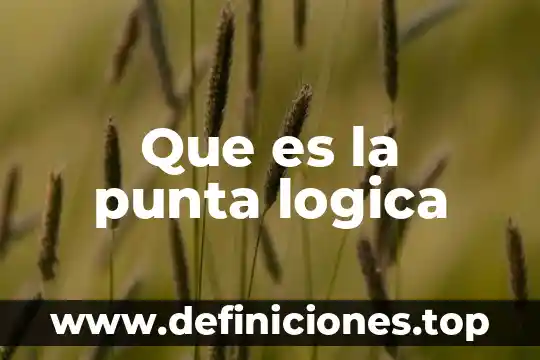 Que es una punta de brote 6 Que es la punta logica