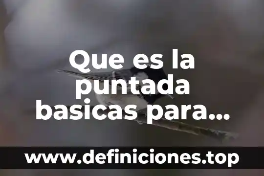 Que es la puntada basicas para coser