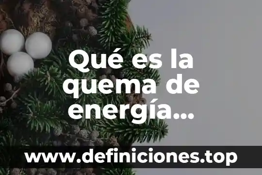 Qué es la quema de energía definición