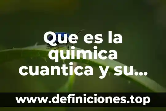 Que es el equilibrio del desarrollo sustentable 5 Que es la quimica cuantica y su origen