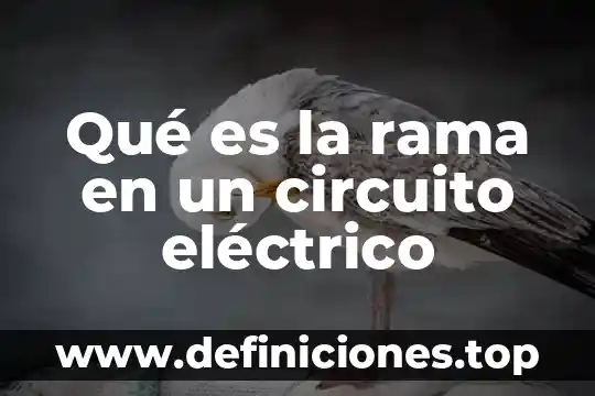 Que es la rama terminal y la rama colateral anatomia 7 Qué es la rama en un circuito eléctrico