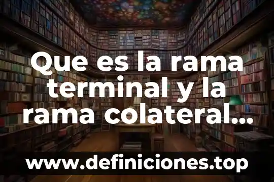 Rama que es ciencia 3 Que es la rama terminal y la rama colateral anatomia