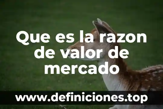 Que es la razon en filosofia segun educacion 5 Que es la razon de valor de mercado