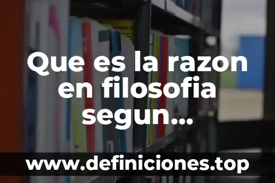 Qué es razón social en dirección 6 Que es la razon en filosofia segun educacion
