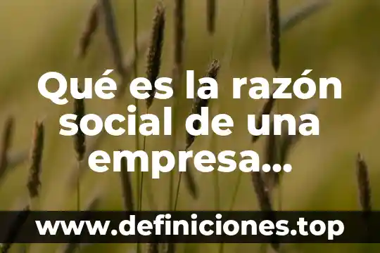 Que es la razon en filosofia segun educacion 7 Qué es la razón social de una empresa chilena