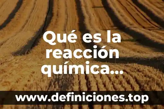 Qué es la reacción química endotermica