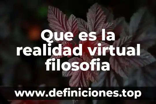 Que es la realidad virtual filosofia