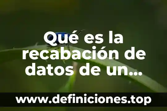 Que es alias en datos de facturacion 5 Qué es la recabación de datos de un tema