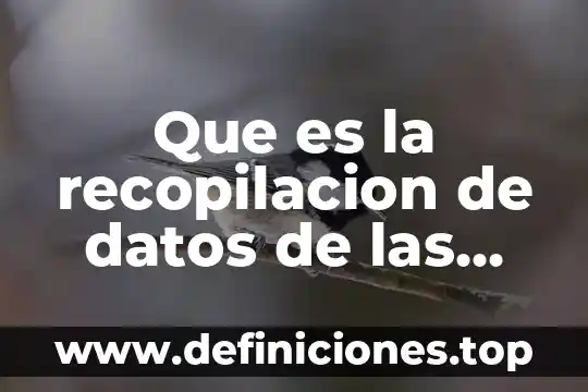 Que es un a recopilacion de datos 3 Que es la recopilacion de datos de las estructuras organizacionales