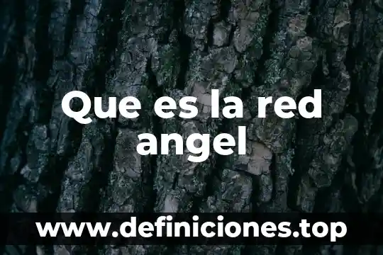 Que es la red angel