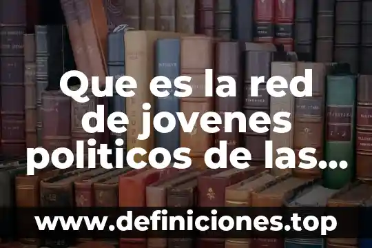Que es lo que ofrecen los partidos politicos 2017 8 Que es la red de jovenes politicos de las americas