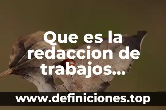 Que es la redaccion de trabajos academicos