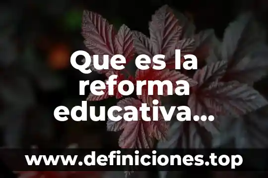 Que es y en que consiste la reforma educativa 8 Que es la reforma educativa 2017-2018