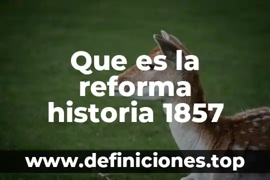 Que es la reforma penal en mexico 4 Que es la reforma historia 1857